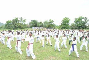 Taekwondo